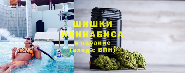 стаф Осташков