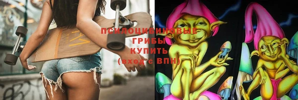 шишки Нязепетровск