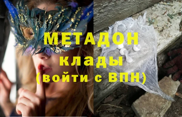 прущие грибы Осинники