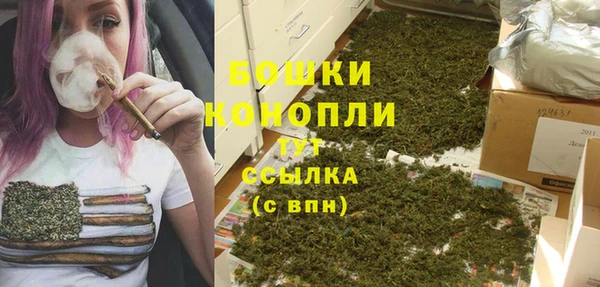 стаф Осташков