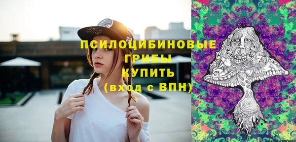 прущие крисы Няндома
