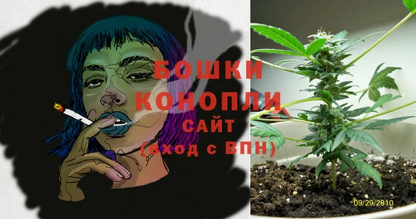 шишки Нязепетровск