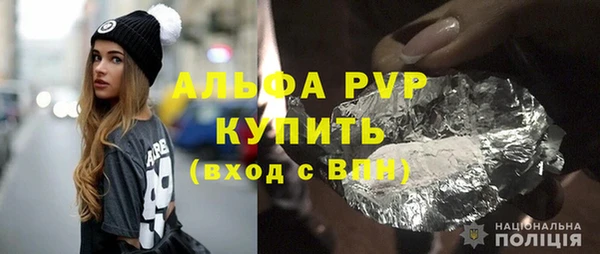 СК Билибино