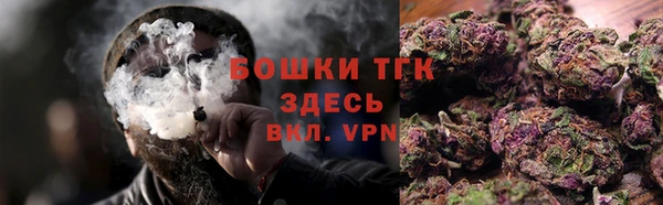 шишки Нязепетровск