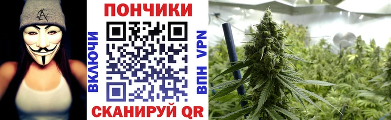 МАРИХУАНА ГИДРОПОН гидра ссылка Калачинск как найти наркотики
